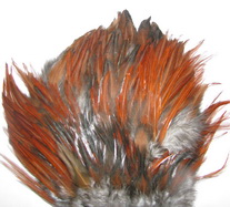 DF  Indian saddle brown XXL